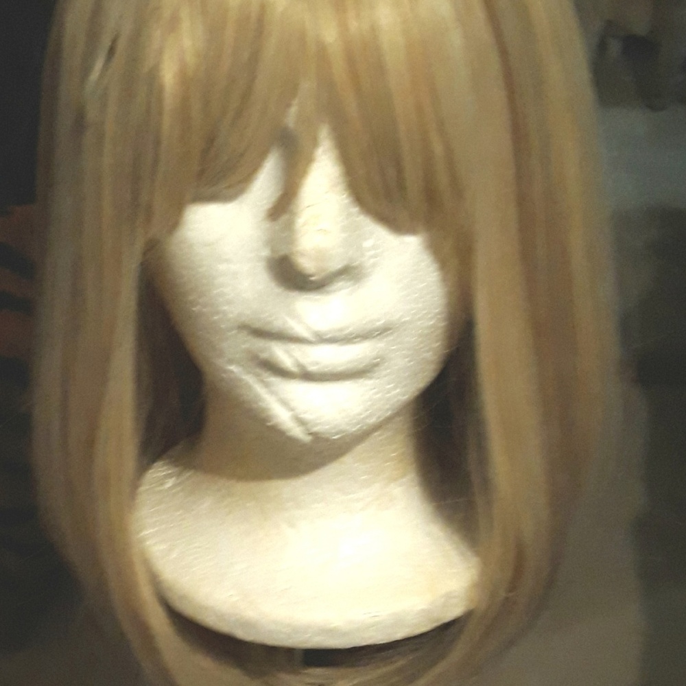 New Long Blond Wig.